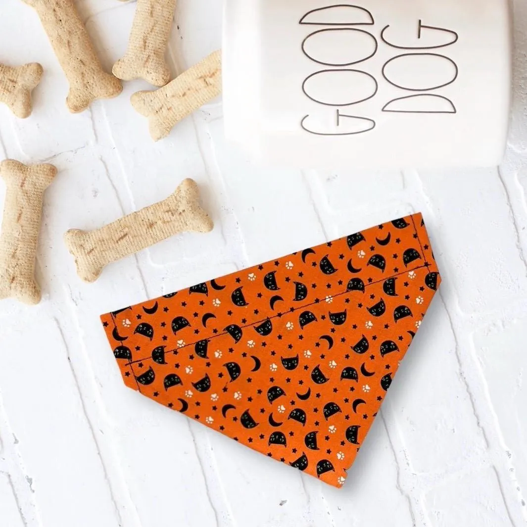 Halloween Black Cat Dog Bandana or Cat Bandana