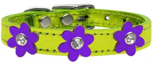 Metallic Flower Leather Collar Metallic Lime Green With Metallic Purple Flowers Size 20