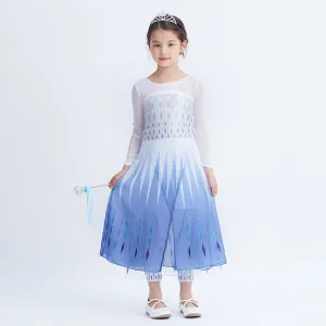 Snow Queen Elsa Princess Costumes Dress 2-12 Years